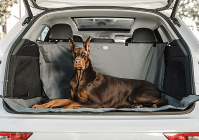 GF Pet  Pet Cargo Cover