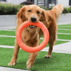 Dog Ring Toy (Color: orange)