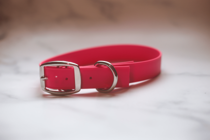 Biothane Buckle Dog Collar (Color: Red, size: Medium 13-15 inches)