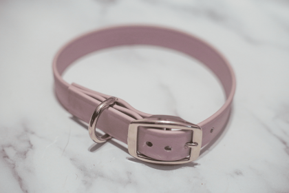 Biothane Buckle Dog Collar (Color: pink, size: Large 15-17 inches)