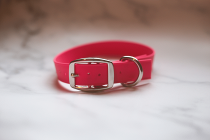 Biothane Buckle Dog Collar (Color: Red, size: Large 15-17 inches)