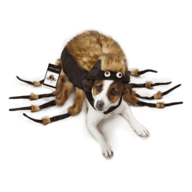 ZZ Fuzzy Tarantula Costume (Color: brown, size: small)