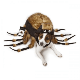 ZZ Fuzzy Tarantula Costume (Color: brown, size: medium)