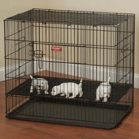 ProSelect Puppy PlayPen with Plastic Pan (Color: black, size: small)