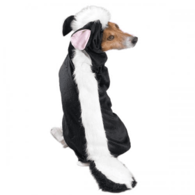 Casual Canine Lil' Stinker Costume (size: XL)