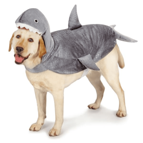 CC Shark Costume (size: Xsmall)