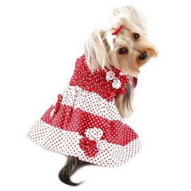 Red & White Polka Dots Sundress with Contrasting Flowers (Color: Red/White, size: XS)