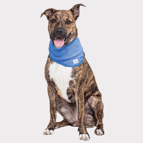 GF Pet  Ice Band (Color: Blue, size: XS)