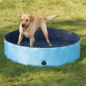 Cool Pup Splash About Dog Pool (Color: Blue, size: medium)