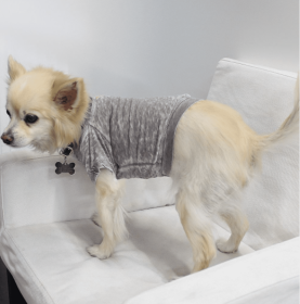 Doggy Tee (Color: Coco, size: XS)