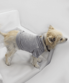 Doggy Hoodie (Color: Asphalt, size: medium)