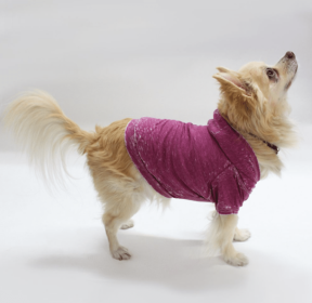 Doggy Hoodie (Color: Magenta, size: XS)