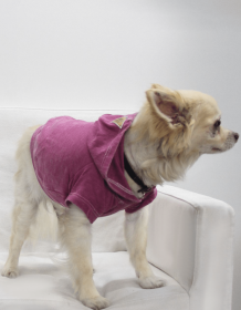 Doggy Hoodie French Terry (Color: Magenta, size: XS)